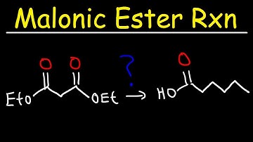 Malonic Ester Synthesis Reaction Mechanism