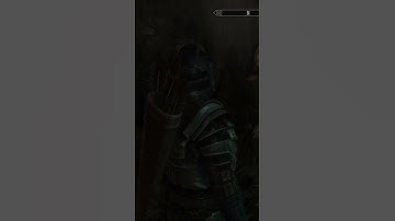 Always check your character dialogue... #skyrim#gaming#fantasy#rpg