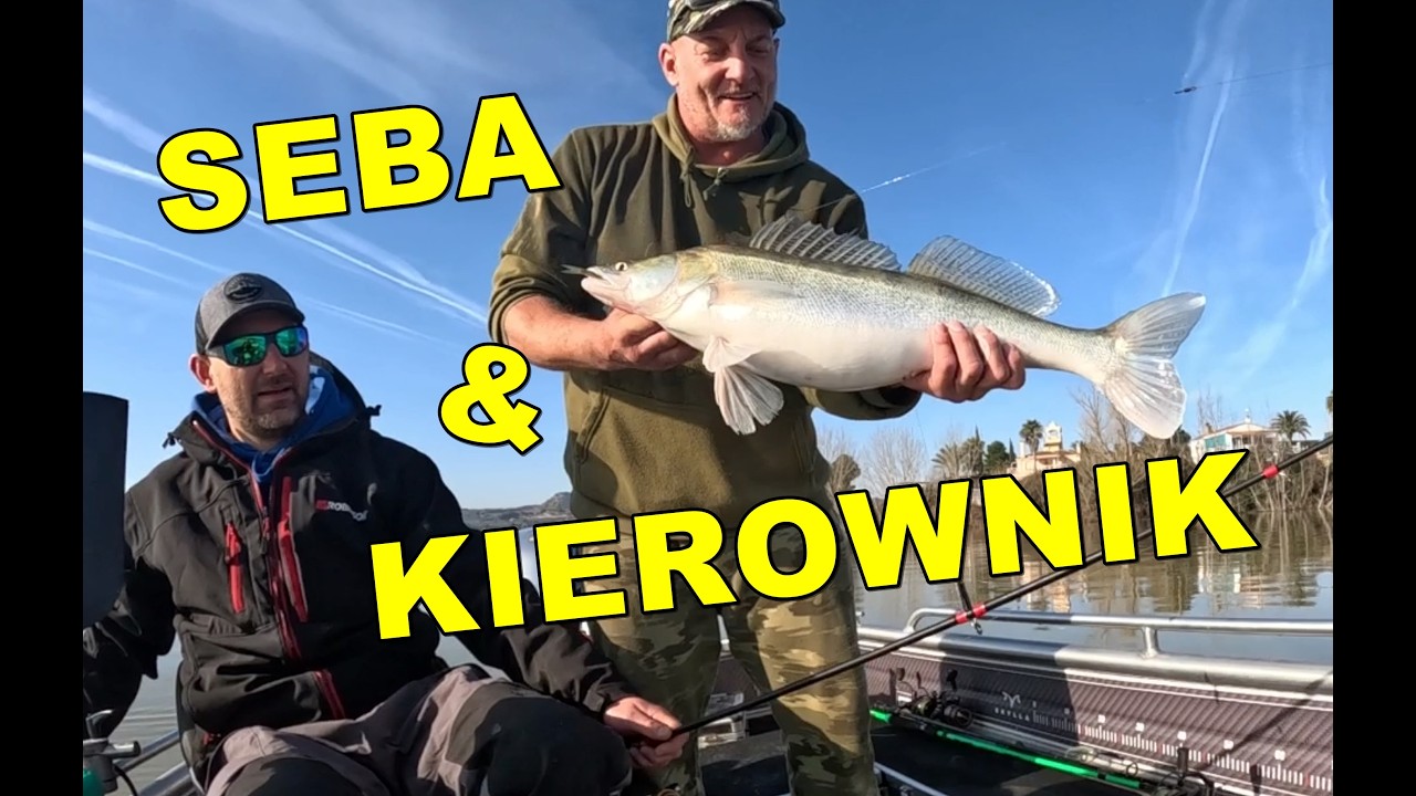 Tysiące SANDACZY i prywaciarze z Warszawy