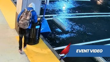 Remote Guard Deters Person Loitering on Property