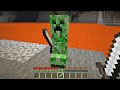 DON'T BE FRIENDS WITH CREEPER IN MINECRAFT MEME