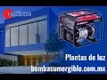 Plantas de luz en tu hogar