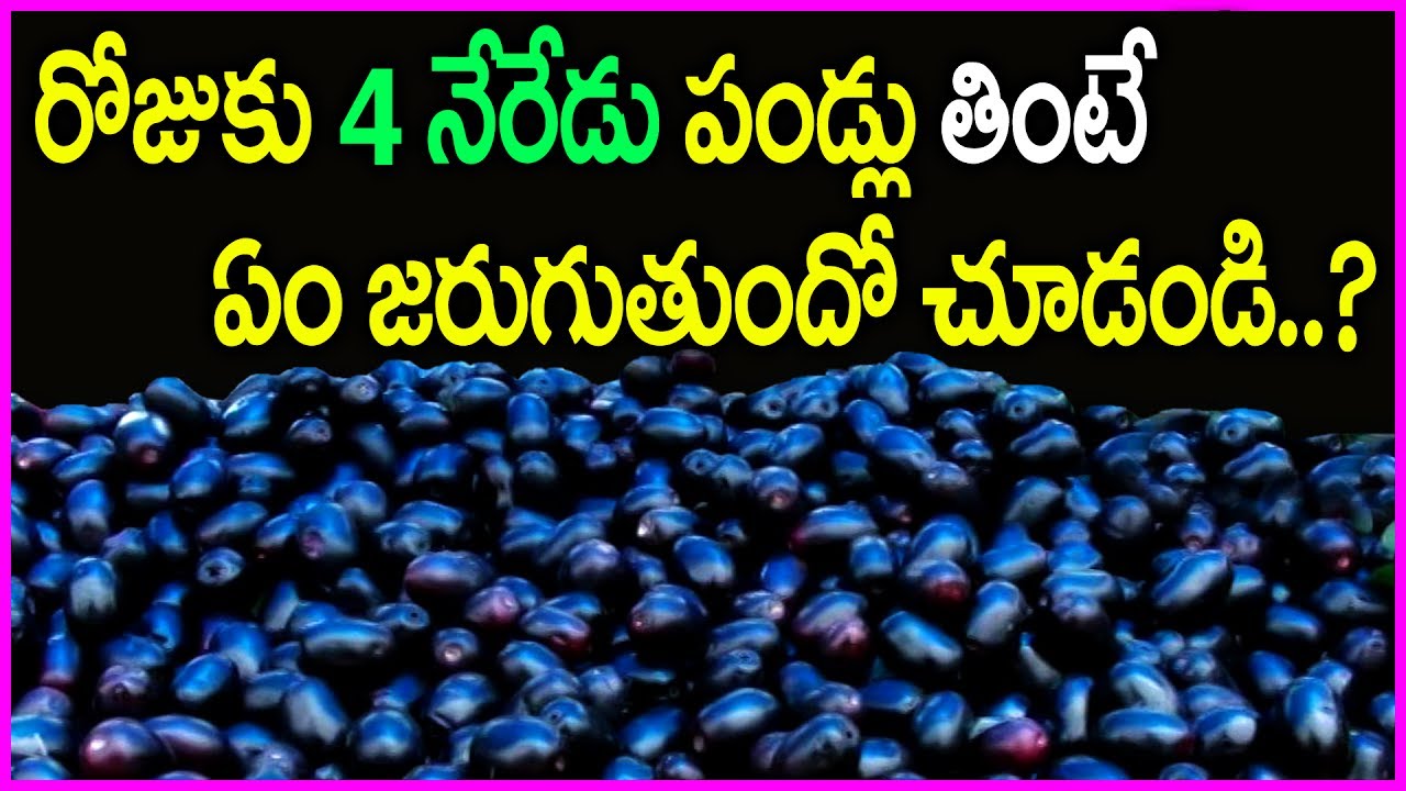 Jamun Fruit Benefits In Telugu Health Tips & Benefits Kills