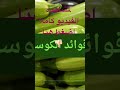 فوائد الكوسا تناول الكوسا بشتى الطرق وهذا ما سوف يحدث لجسمك وفق أحدث الدراسات 