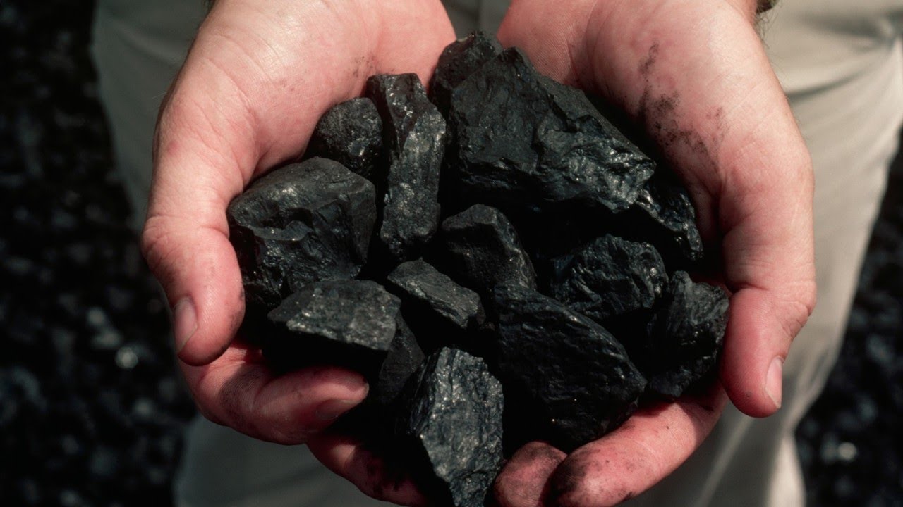 ‘We’re laughing our way to the bank’ on coal exports