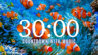 30 Minute Underwater Life Countdown Timer | Aquarium Timer for Classroom