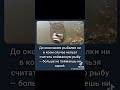 Рыбацкие приметы #fishing #рыбалка #fishingvideo #карп #fishinglife #carpfishing #рыбалкаскомфортом