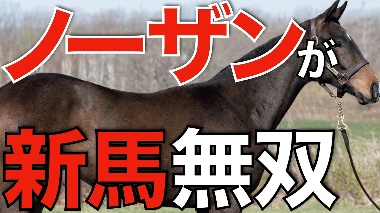 ノーザンがあまりにも強すぎる…新馬戦だけの各種リーディングを出してみた。