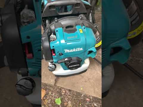 Makita EB5300TH BackPack Blower Cold Start (Not Started in 4 Month)