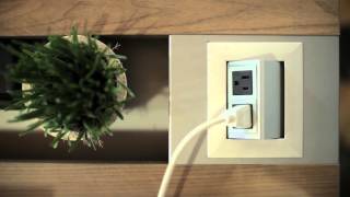 Office Tour - Mutually Human