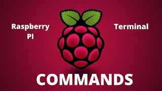 Unlock the Unknown with Raspberry Pi: The Basics of Linux Commands You Need to Know!