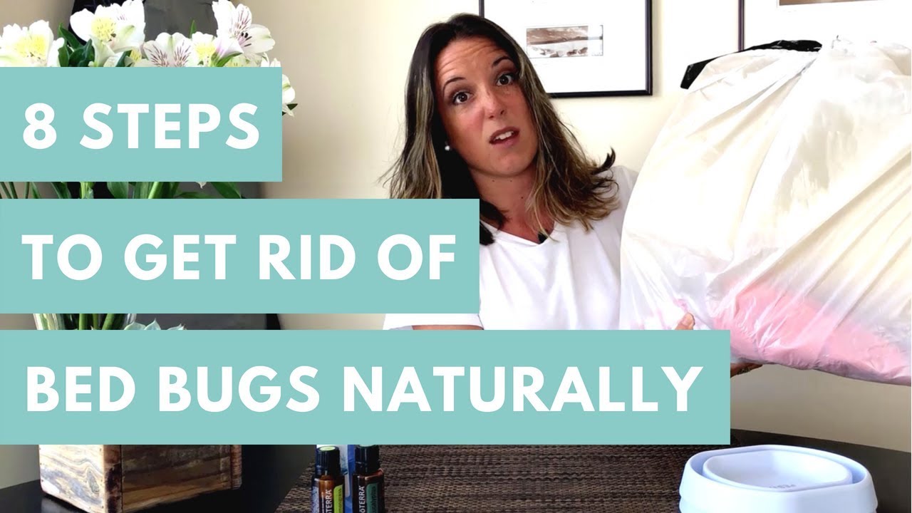 8 Steps To Get Rid Of Bed Bugs - Naturally