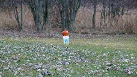 Pumpkin versus 1/2 pound of binary explosive