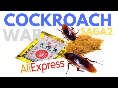 Video: Cara Garam Roach