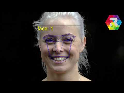 Real-time Facial Emotion Detection (Recognition) from Facial Expressions