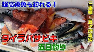 魚のお兄さん川ちゃん、まるでお魚天国のタイラバサビキ【ガッ釣り関西096】