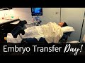 Our Embryo Transfer Day