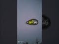 عينا فيها تسمى سلسبيلا الشيخ محمد اللحيدان عينا فيها تسمى سلسبيلا الشيخ محمد اللحيدان