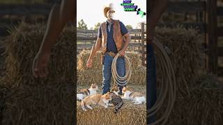 I’m a cowboy herding a group of lazy cats! #shorts #viral #funny #ytshorts #comedy