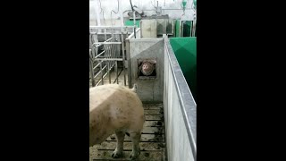Maximus heat detection station in action