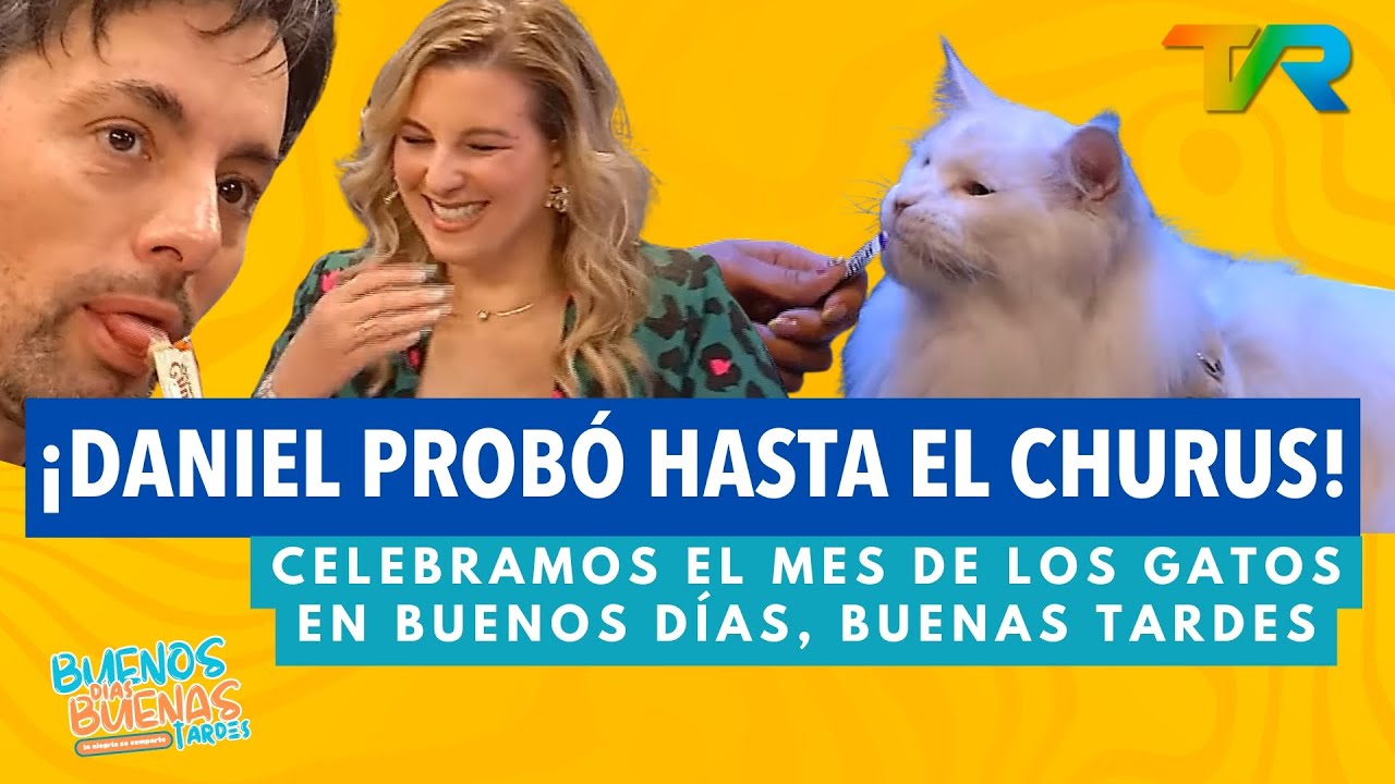¡DANI PROBÓ CHURUS! CELEBRAMOS EN MES DE LOS GATOS CON DANIELA CEPEDA | BDBT