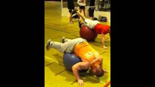 Stability Ball - Reverse Hyper-Extensions
