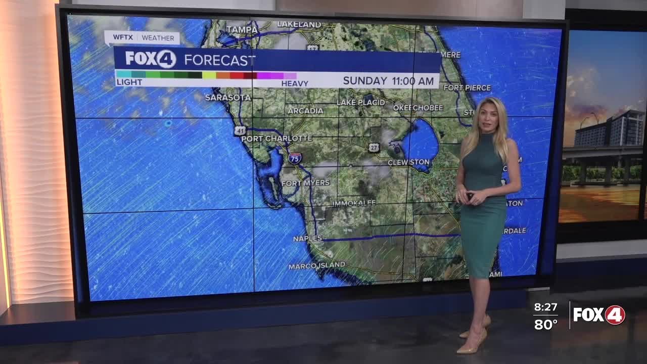 FORECAST: Heat Advisory in effect for SWFL - YouTube