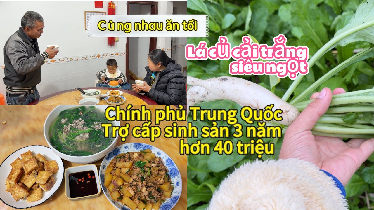 336 🥖 Chính phủ Trung Quốc trợ cấp sinh sản 3 năm hơn 40 triệu vì tỉ lệ sinh siêu thấp