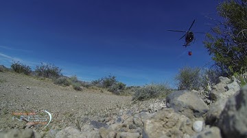 Remote Sensing Laboratory Helicopter Pilots