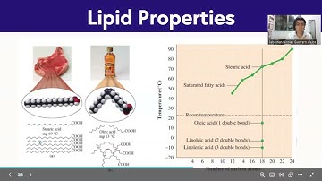 Papaya Tutor application