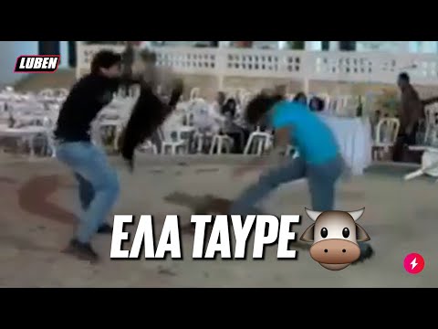 Βίντεο: Τι λέγεται η ταυρομαχία;