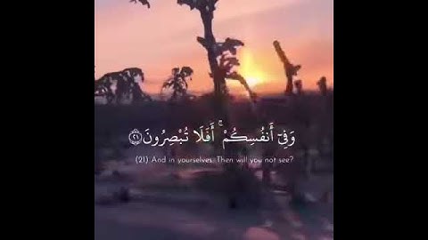 #القران_الكريم       القارئ رعد الكردي سورة الذاريات