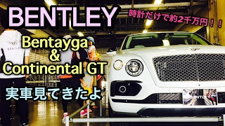 ベントレー 最高級SUV ベンテイガ&コンチネンタルGT 実車見てきたよ BENTLEY SUV BENTAYGA&Continental GT