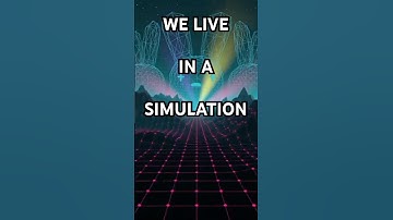 The SIMULATION THEORY: Evidence That We