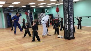 Tiny Tigers Class - Feb 2019 - Alchymy Vancouver