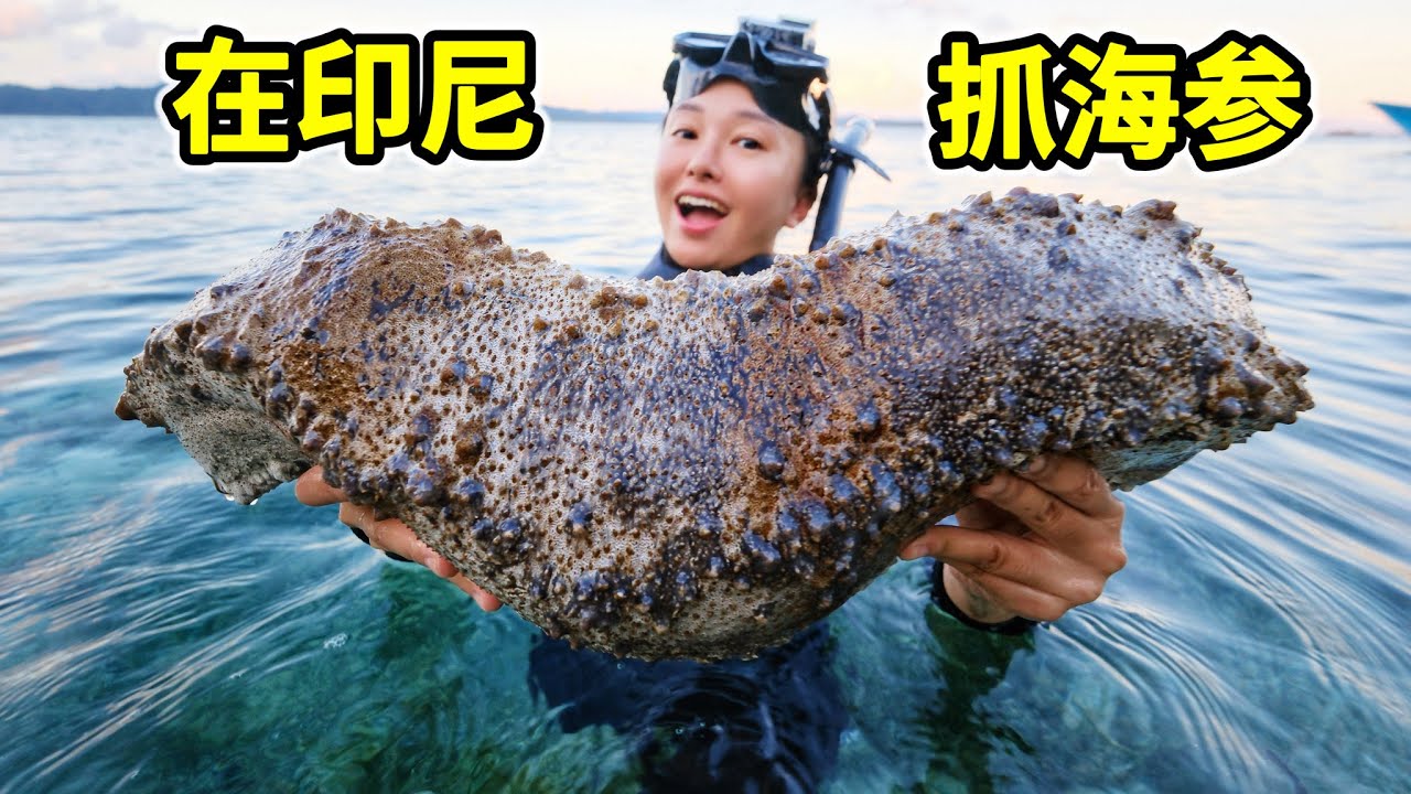 印尼抓巨型海参，一个比腿还粗，爆炒煮粥美味！| 印尼 | 赶海 | 海参 | 龙虾 | 螃蟹 |