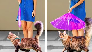 25 ADORABLE PET CRAFTS