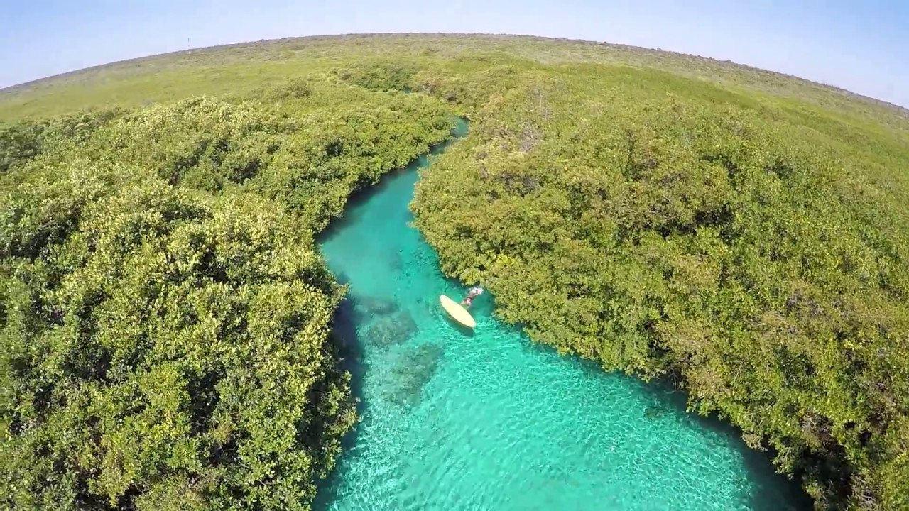 Best Beaches and Cenotes Riviera Maya Casa Cenote -Tank Ha III view from the air - YouTube