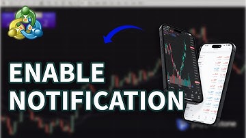How to Enable Notifications in MetaTrader 5 2025?