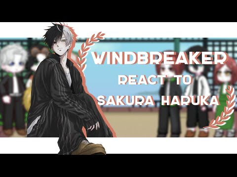 WINDBREAKER React To Sakura Haruka Part 1 No Angst Put On 2x