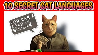 10 Secret Cat Languages (Beware of no.3!!) by Aiamazing Top 10 529 views 1 year ago 7 minutes, 31 seconds