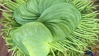 Pan Distribution Center Cuttack