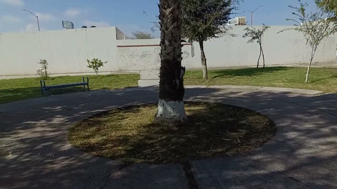 LA COMARCA LAGUNERA, Y SUS CLIMAS MUY VARIABLES Y BONITOS