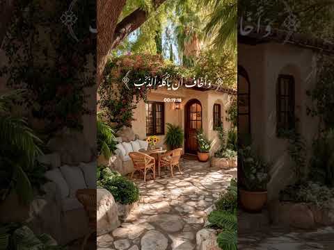 السيد سعيد سورة يوسف