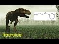 Preservatives 2: Phenoxyethanol | Fun Fast Facts Friday Preservatives 2: Phenoxyethanol | Fun Fast Facts Friday