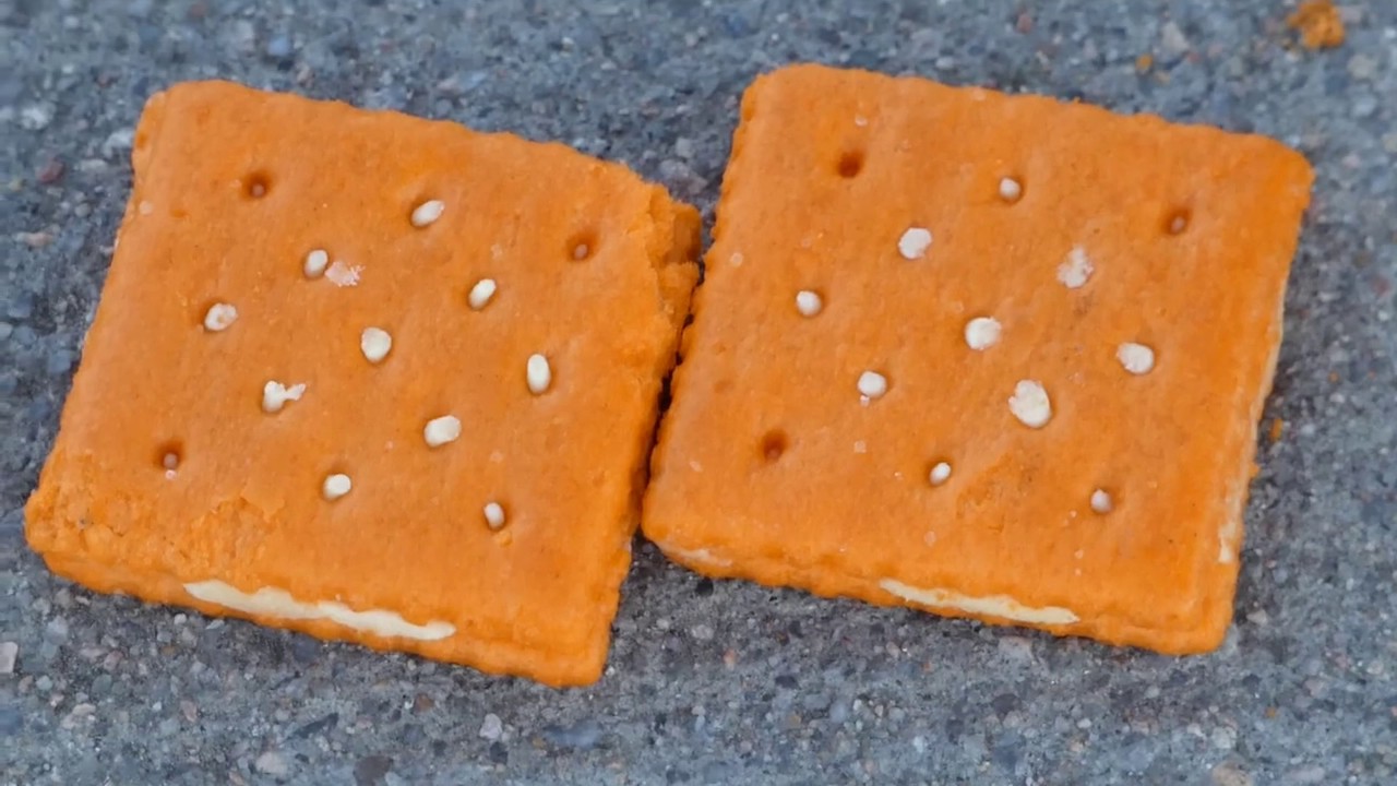 vina-won-t-eat-austin-cheese-crackers-with-cheddar-cheese-sandwich