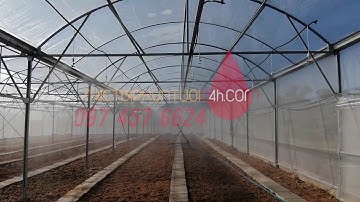 Lắp hệ thống tưới phun sương tự động cho nhà màng, nhà kính, nhà lưới tự động cảm biến giá rẻ