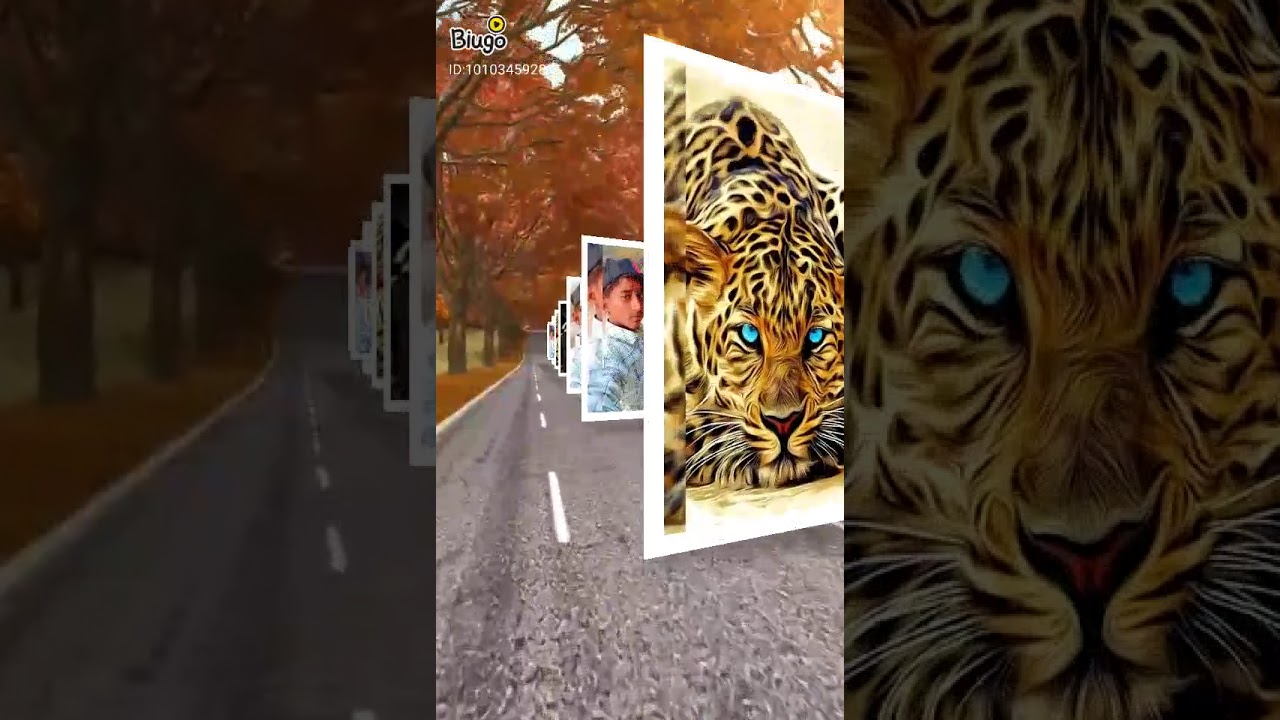 mmmmkkkk-youtube