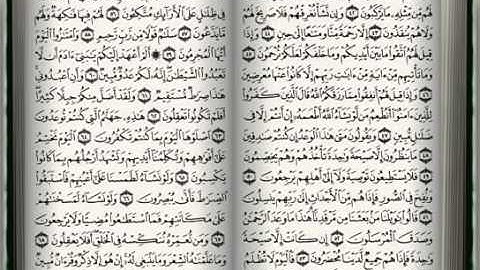 ٠٣٦ - سورة يس - ناصر القطامي