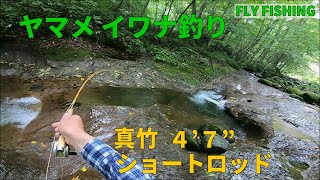 小渓流へ ヤマメ釣り・4’7” ロッドのテスト釣行・使いやすい　かな？引きがダイレクトに！ / フライフィッシング  北海道 / Fly Fishing - Japan